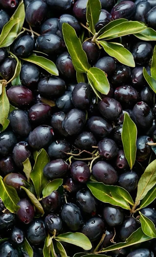 Gallery 2 of Wholesale Premium Black Olives from Sraghna, Morocco